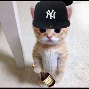 Meet your Posher, Jeffrey